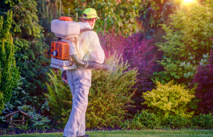 pest control in portland maine