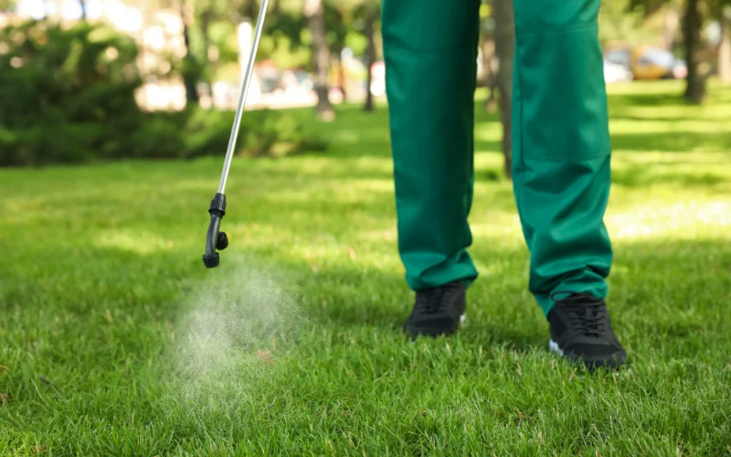 lawn care portland maine