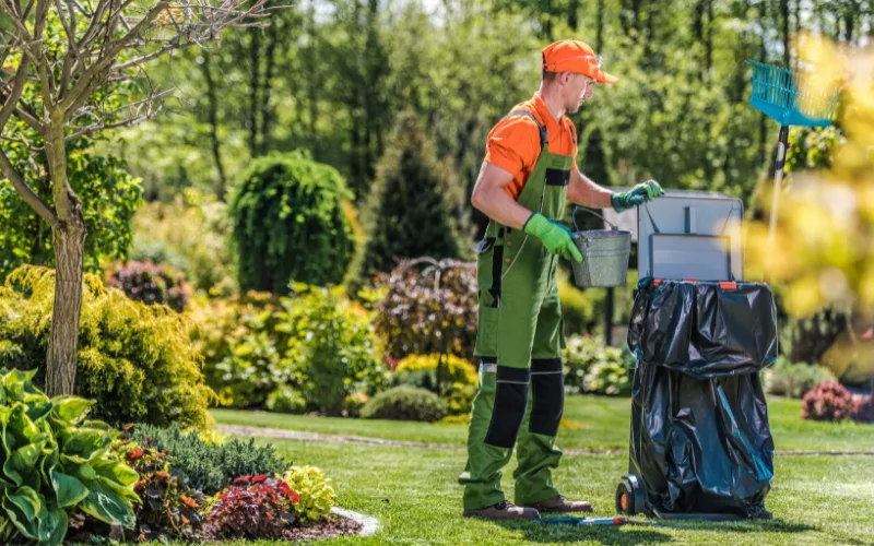 yard cleanup portland maine