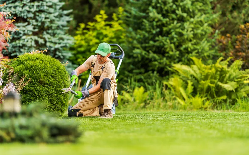 lawn care near me